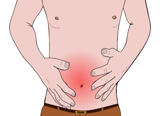 “The Ins and Outs of Constipation: Causes, Symptoms, and Remedies”